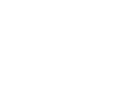 Siteplan Icon